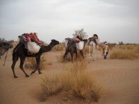 Trek Maroc